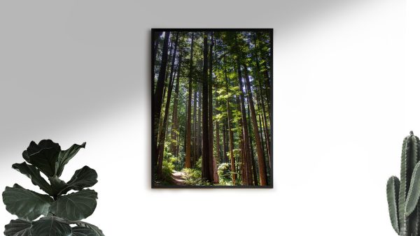 TallSoul.com - Pacific Northwest Poster / Artwork / Wall Art