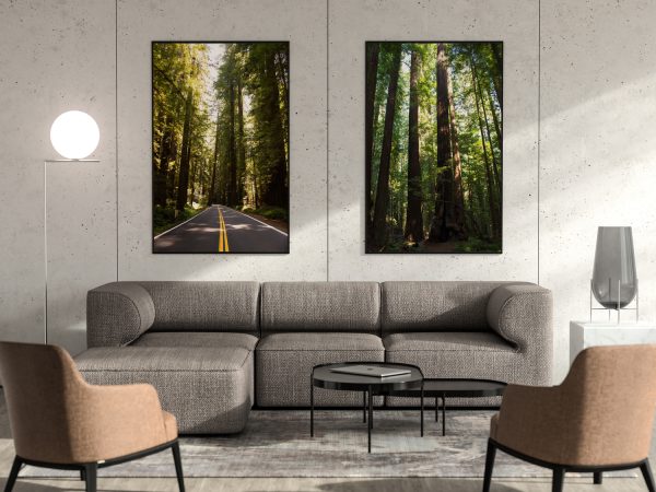 TallSoul.com - Redwoods Poster / Artwork / Wall Art