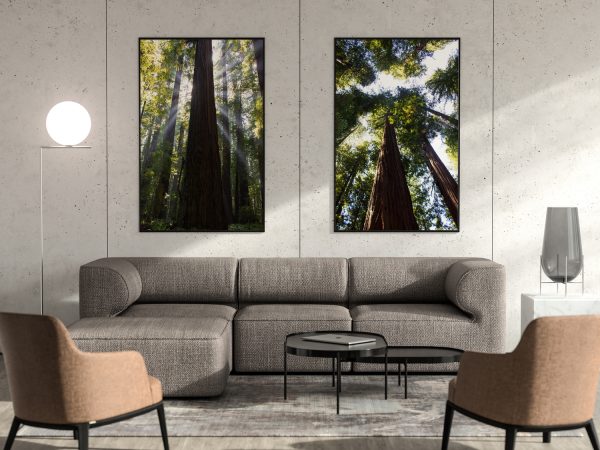 TallSoul.com - Redwoods Poster / Artwork / Wall Art